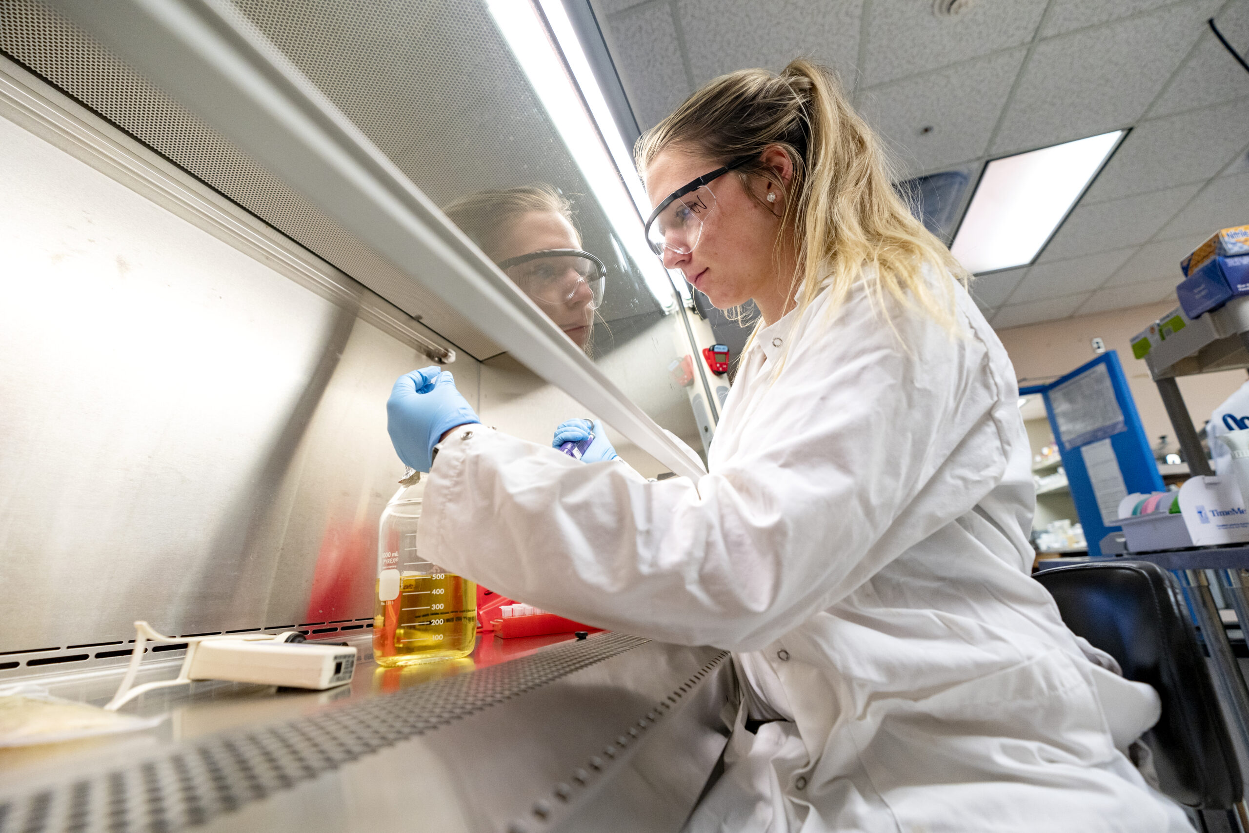 Student utilizing a fume hood in lab