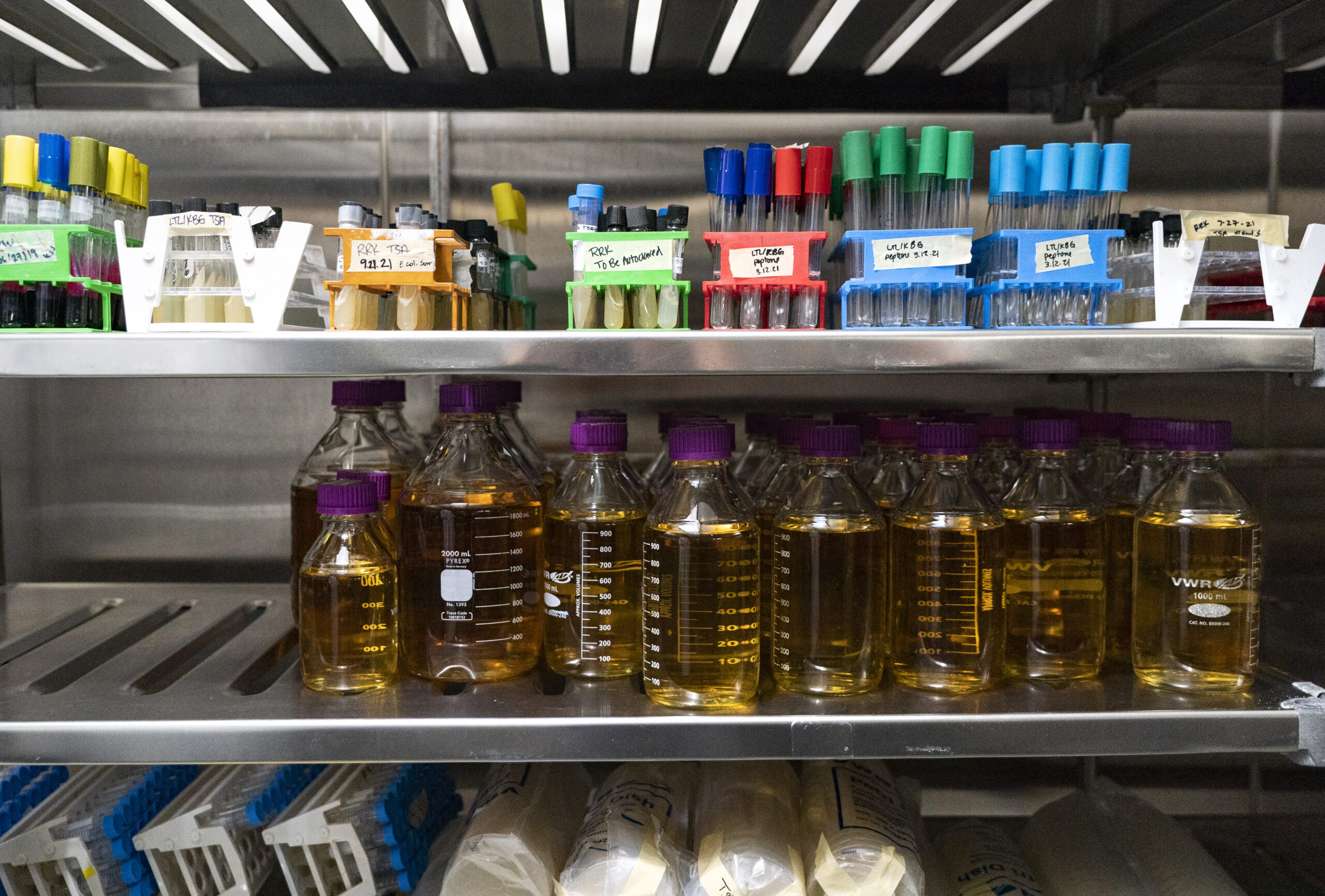 Bottles of varying size on a shelf with dark yellow tinted liquid