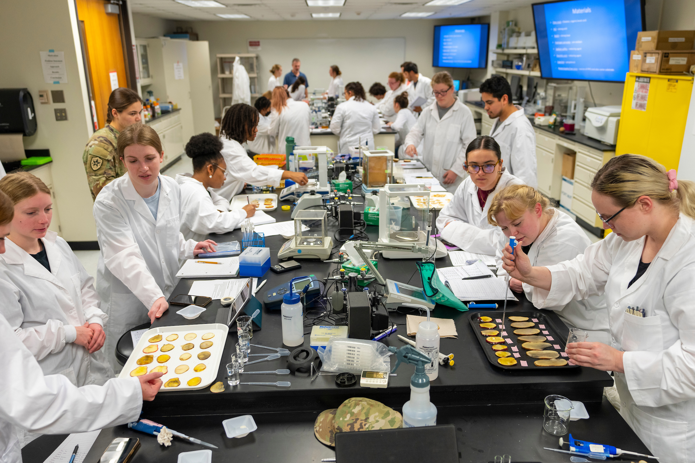 Students in a lab