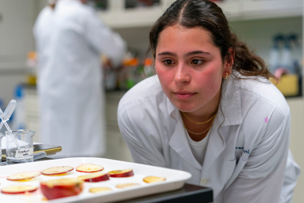 Student looking at sliced apples